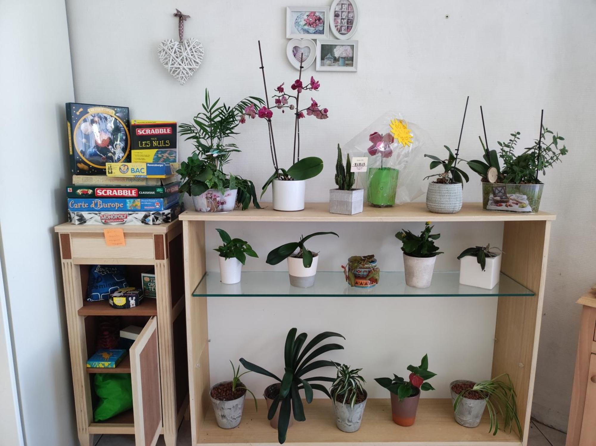 Chambre Chez L'Habitant "Cactus" Une, Deux Ou Trois Personnes Derval Esterno foto